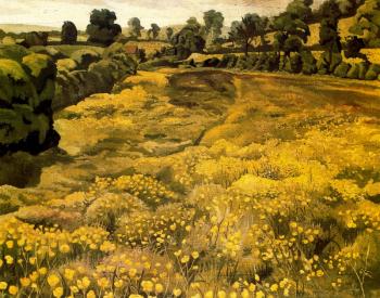 斯坦利 斯賓塞 Buttercups in a Meadow 斯坦利 斯賓塞 Buttercups in a Meadow